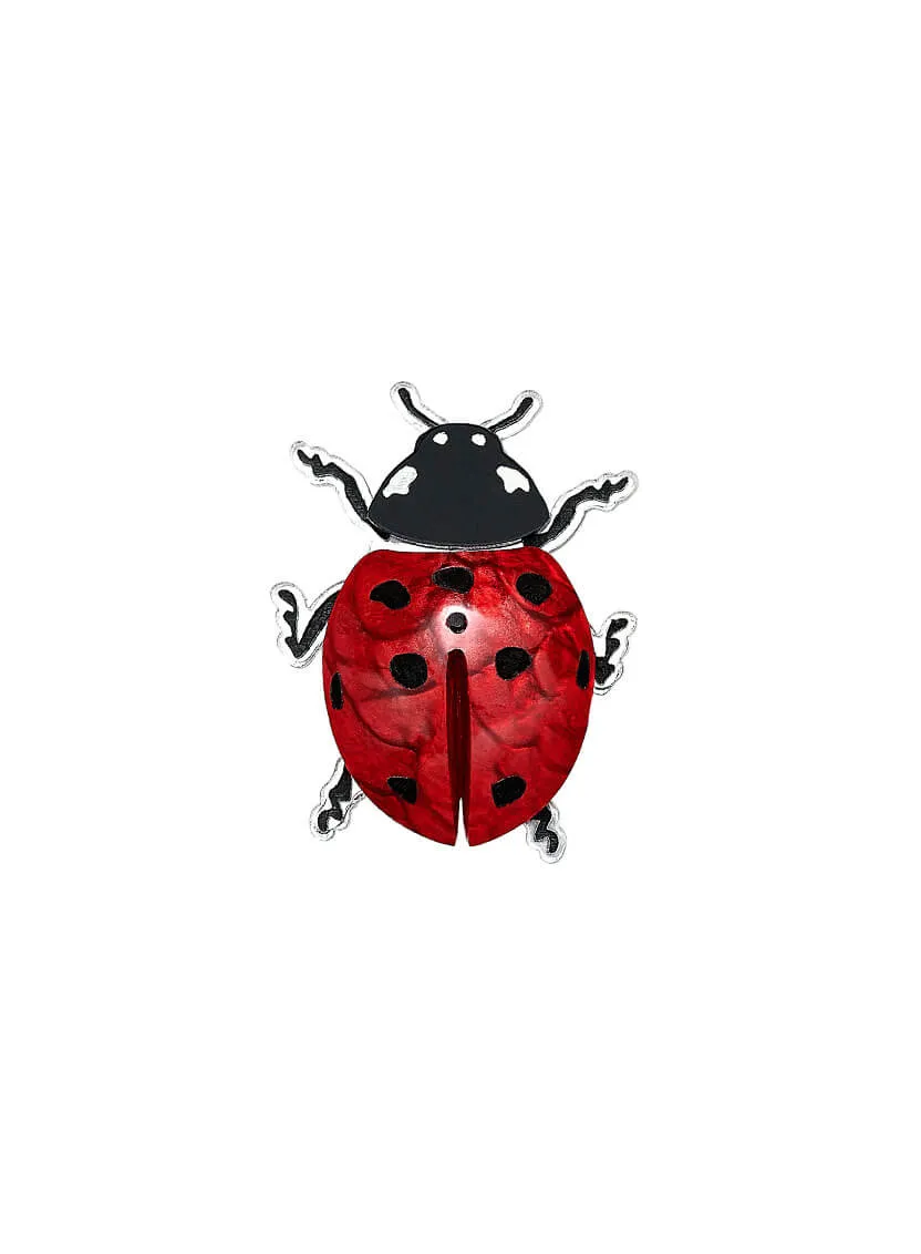 Ladybug Brooch