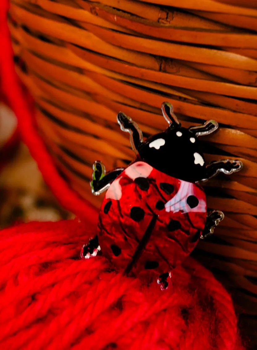 Ladybug Brooch